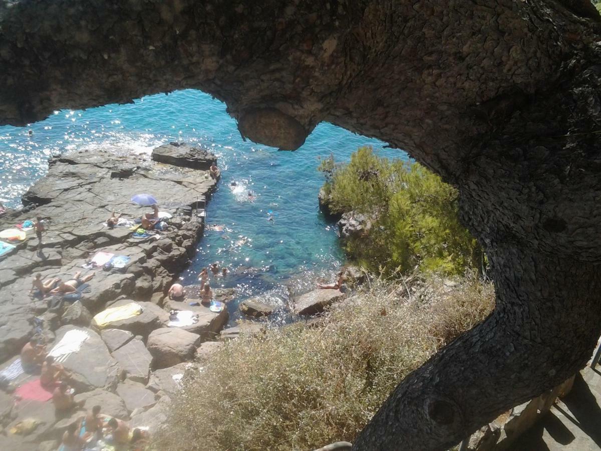 Villa Shambhala San Bartolomeo Al Mare Eksteriør billede